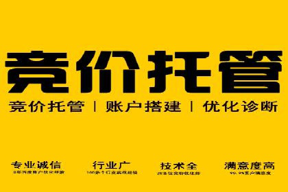 SEM代理的优化策略及成功案例